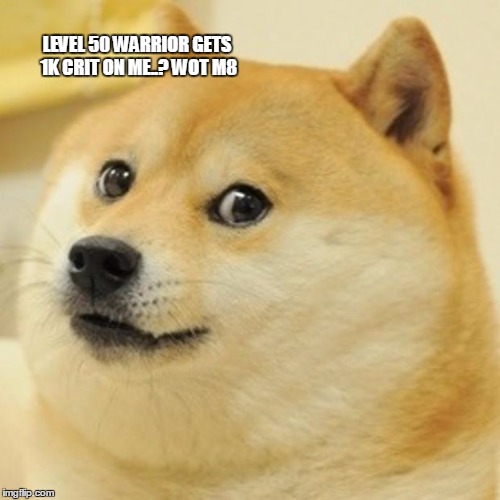 Doge Meme | LEVEL 50 WARRIOR GETS 1K CRIT ON ME..? WOT M8 | image tagged in memes,doge | made w/ Imgflip meme maker