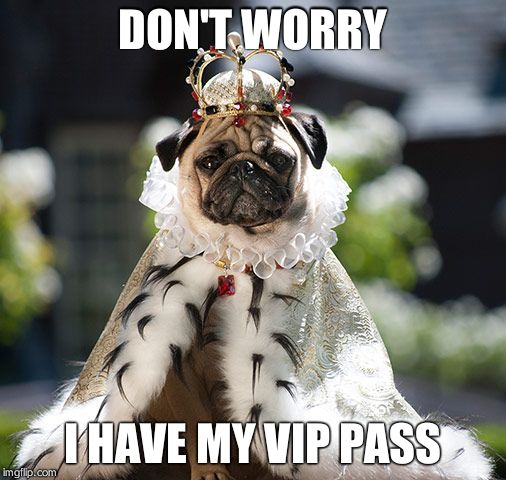 Pug king | DON'T WORRY I HAVE MY VIP PASS | image tagged in pug king | made w/ Imgflip meme maker