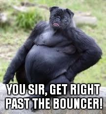 YOU SIR, GET RIGHT PAST THE BOUNCER! | made w/ Imgflip meme maker