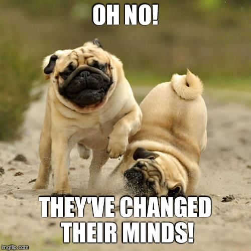 RUN! pugs | OH NO! THEY'VE CHANGED THEIR MINDS! | image tagged in run pugs | made w/ Imgflip meme maker