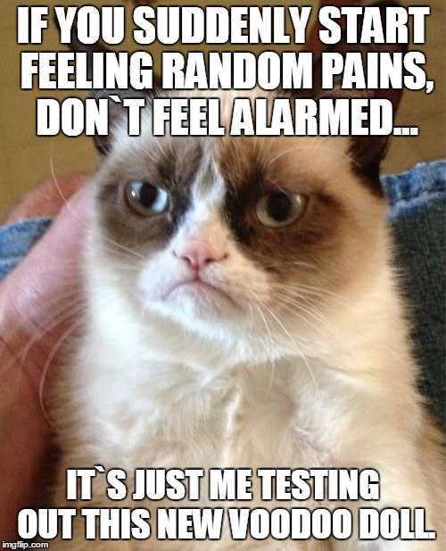 Grumpy Cat Meme | IF YOU SUDDENLY START FEELING RANDOM PAINS, DON`T FEEL ALARMED... IT`S JUST ME TESTING OUT THIS NEW VOODOO DOLL. | image tagged in memes,grumpy cat | made w/ Imgflip meme maker