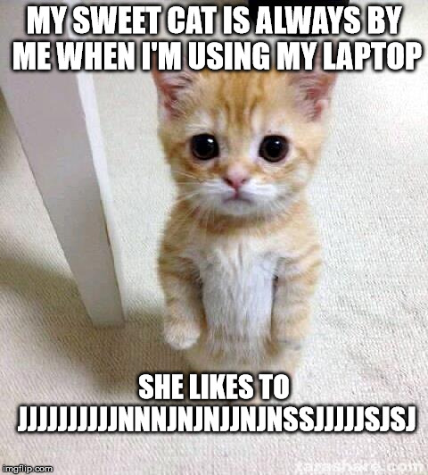 Cat owners will understand. | MY SWEET CAT IS ALWAYS BY ME WHEN I'M USING MY LAPTOP SHE LIKES TO JJJJJJJJJJNNNJNJNJJNJNSSJJJJJSJSJ | image tagged in memes,cute cat | made w/ Imgflip meme maker