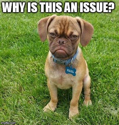 WHY IS THIS AN ISSUE? | made w/ Imgflip meme maker