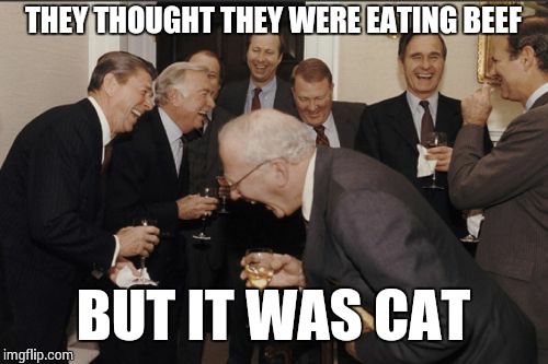 Laughing Men In Suits Meme | THEY THOUGHT THEY WERE EATING BEEF BUT IT WAS CAT | image tagged in memes,laughing men in suits | made w/ Imgflip meme maker