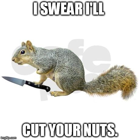 I SWEAR I'LL CUT YOUR NUTS. | made w/ Imgflip meme maker