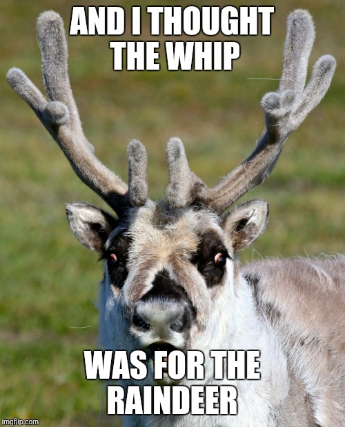 AND I THOUGHT THE WHIP WAS FOR THE RAINDEER | made w/ Imgflip meme maker