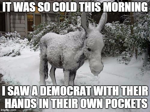 It was so cold.... | IT WAS SO COLD THIS MORNING I SAW A DEMOCRAT WITH THEIR HANDS IN THEIR OWN POCKETS | image tagged in cold ass,democrats,donkey,snow,ice,white | made w/ Imgflip meme maker