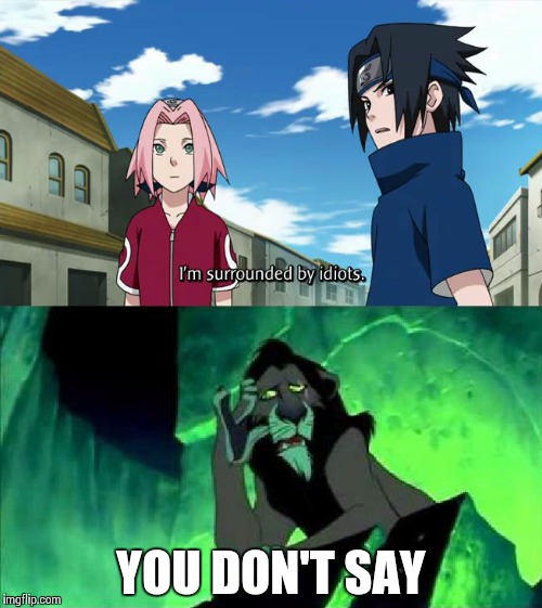 YOU DON'T SAY | image tagged in stupid | made w/ Imgflip meme maker