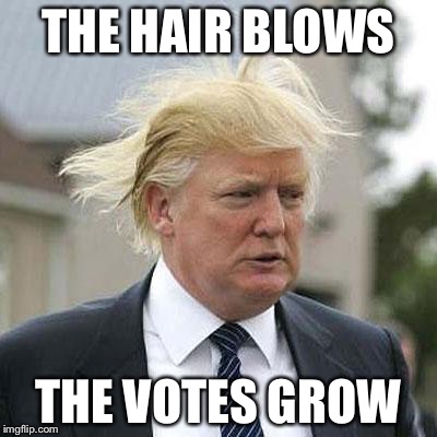 Donald Trump | THE HAIR BLOWS THE VOTES GROW | image tagged in donald trump | made w/ Imgflip meme maker