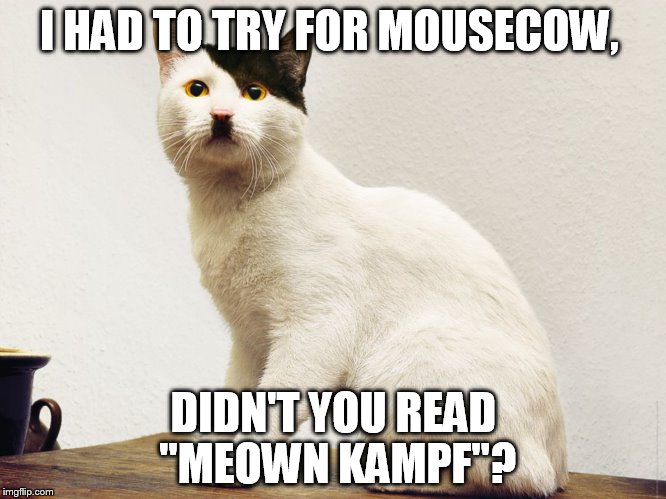 A Cat's Struggle. | I HAD TO TRY FOR MOUSECOW, DIDN'T YOU READ "MEOWN KAMPF"? | image tagged in cat hitler,memes,funny,animals,cat | made w/ Imgflip meme maker