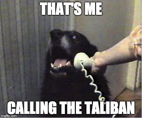 Yes this is dog | THAT'S ME CALLING THE TALIBAN | image tagged in yes this is dog | made w/ Imgflip meme maker