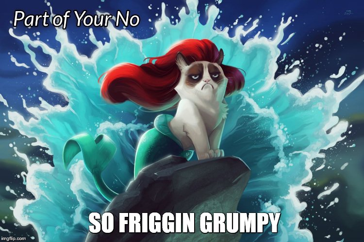 SO FRIGGIN GRUMPY | image tagged in mergrumpy cat | made w/ Imgflip meme maker