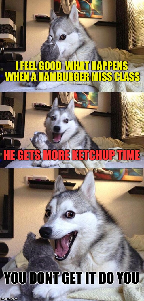 Bad Pun Dog | I FEEL GOOD 
WHAT HAPPENS WHEN A HAMBURGER MISS CLASS HE GETS MORE KETCHUP TIME YOU DONT GET IT DO YOU | image tagged in memes,bad pun dog | made w/ Imgflip meme maker