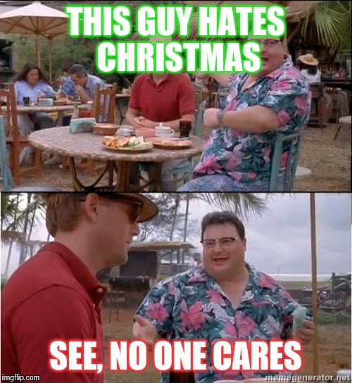 See? No one cares | THIS GUY HATES CHRISTMAS SEE, NO ONE CARES | image tagged in see no one cares | made w/ Imgflip meme maker
