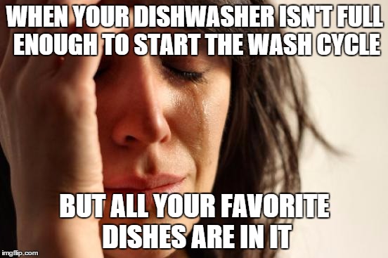 First World Problems | WHEN YOUR DISHWASHER ISN'T FULL ENOUGH TO START THE WASH CYCLE BUT ALL YOUR FAVORITE DISHES ARE IN IT | image tagged in memes,first world problems | made w/ Imgflip meme maker