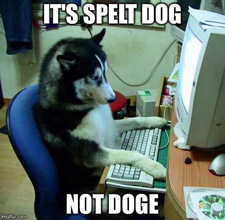 I Have No Idea What I Am Doing Meme | IT'S SPELT DOG NOT DOGE | image tagged in memes,i have no idea what i am doing | made w/ Imgflip meme maker