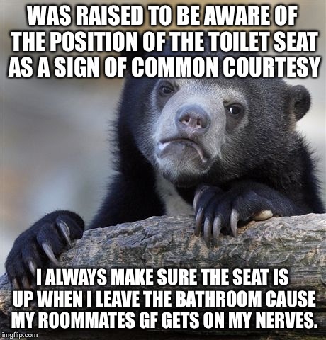 Confession Bear Meme | WAS RAISED TO BE AWARE OF THE POSITION OF THE TOILET SEAT AS A SIGN OF COMMON COURTESY I ALWAYS MAKE SURE THE SEAT IS UP WHEN I LEAVE THE BA | image tagged in memes,confession bear,ConfessionBear | made w/ Imgflip meme maker