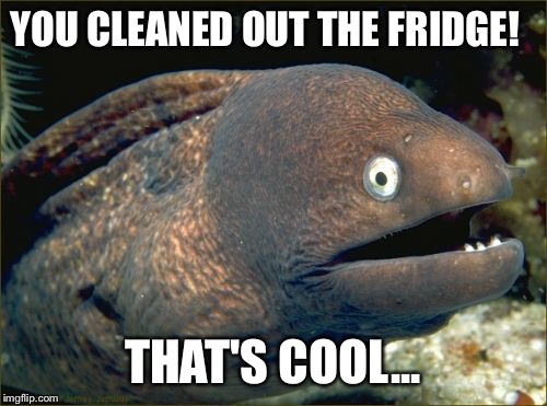 Bad Joke Eel | YOU CLEANED OUT THE FRIDGE! THAT'S COOL... | image tagged in memes,bad joke eel | made w/ Imgflip meme maker