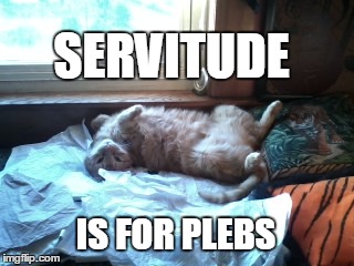 Heyearl | SERVITUDE IS FOR PLEBS | image tagged in lazy,lazy cat,unemployed,welfare surfer | made w/ Imgflip meme maker