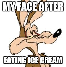 Wile E Coyote | MY FACE AFTER EATING ICE CREAM | image tagged in wile e coyote | made w/ Imgflip meme maker