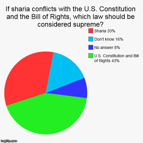 Nation wide poll of American Muslims 2015 | image tagged in funny,pie charts,islam,sharia law | made w/ Imgflip chart maker