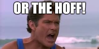 david hasselhoff | OR THE HOFF! | image tagged in david hasselhoff | made w/ Imgflip meme maker