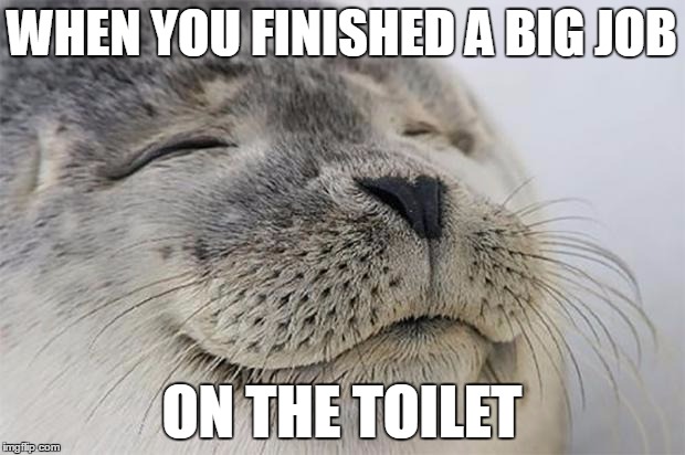 Satisfied Seal | WHEN YOU FINISHED A BIG JOB ON THE TOILET | image tagged in memes,satisfied seal | made w/ Imgflip meme maker
