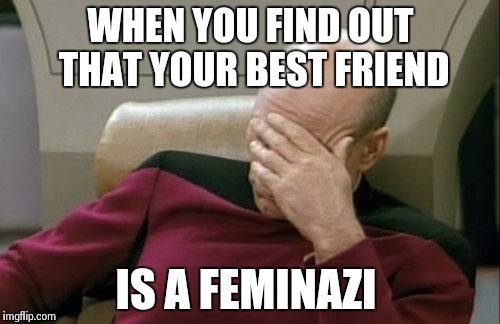 Captain Picard Facepalm | WHEN YOU FIND OUT THAT YOUR BEST FRIEND IS A FEMINAZI | image tagged in memes,captain picard facepalm | made w/ Imgflip meme maker