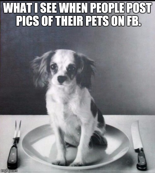 Why don't we eat dogs? | WHAT I SEE WHEN PEOPLE POST PICS OF THEIR PETS ON FB. | image tagged in funny,dogs,meme | made w/ Imgflip meme maker
