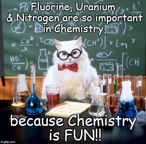 Chemistry Cat | Fluorine, Uranium & Nitrogen are so important in Chemistry, because Chemistry is FUN!! | image tagged in memes,chemistry cat,fun,fluorine,uranium,nitrogen | made w/ Imgflip meme maker