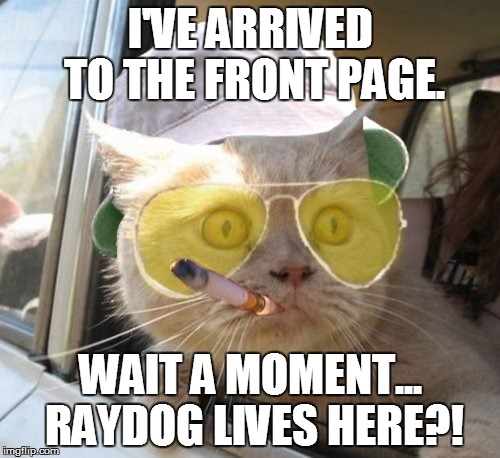 Fear And Loathing Cat Meme | I'VE ARRIVED TO THE FRONT PAGE. WAIT A MOMENT... RAYDOG LIVES HERE?! | image tagged in memes,fear and loathing cat | made w/ Imgflip meme maker