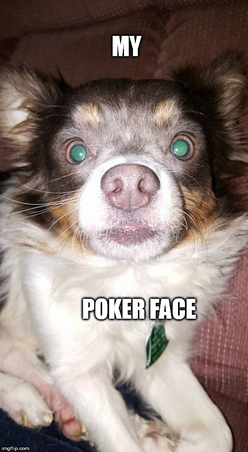 Pokerface | MY POKER FACE | image tagged in poker | made w/ Imgflip meme maker