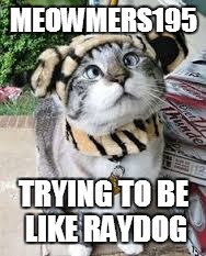 Raydog cat thing | MEOWMERS195 TRYING TO BE LIKE RAYDOG | image tagged in raydog cat thing | made w/ Imgflip meme maker