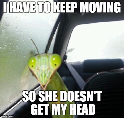 I HAVE TO KEEP MOVING SO SHE DOESN'T GET MY HEAD | made w/ Imgflip meme maker