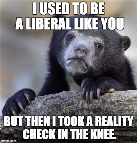 Confession Bear Meme | I USED TO BE A LIBERAL LIKE YOU BUT THEN I TOOK A REALITY CHECK IN THE KNEE. | image tagged in memes,confession bear | made w/ Imgflip meme maker