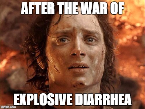 It's Finally Over Meme | AFTER THE WAR OF EXPLOSIVE DIARRHEA | image tagged in memes,its finally over | made w/ Imgflip meme maker