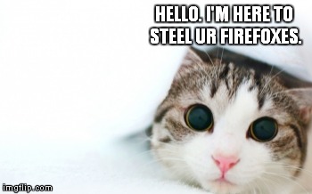 Hello. I'm here to steel... sumting. | HELLO. I'M HERE TO STEEL UR FIREFOXES. | image tagged in lolcats,i can | made w/ Imgflip meme maker