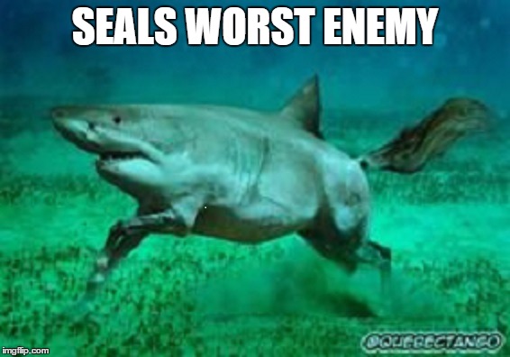 SEALS WORST ENEMY | made w/ Imgflip meme maker