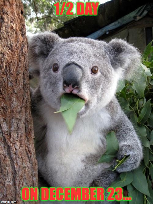 Surprised Koala Meme | 1/2 DAY ON DECEMBER 23... | image tagged in memes,surprised koala | made w/ Imgflip meme maker