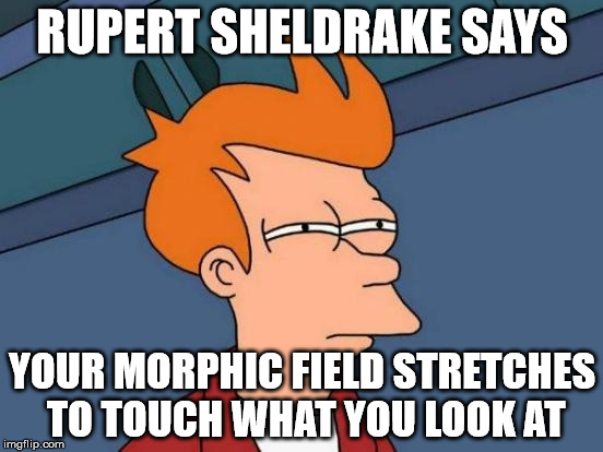 Futurama Fry | RUPERT SHELDRAKE SAYS YOUR MORPHIC FIELD STRETCHES TO TOUCH WHAT YOU LOOK AT | image tagged in memes,futurama fry | made w/ Imgflip meme maker