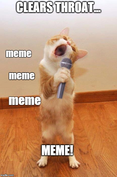 Meanwhile...at the IMGFLIP auditions | CLEARS THROAT... meme meme meme MEME! | image tagged in singingcat,memes,funny cat memes | made w/ Imgflip meme maker