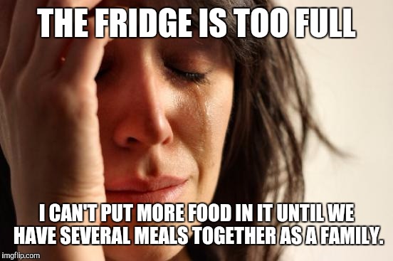 Here's to all my fellow memers who grew up hungry | THE FRIDGE IS TOO FULL I CAN'T PUT MORE FOOD IN IT UNTIL WE HAVE SEVERAL MEALS TOGETHER AS A FAMILY. | image tagged in memes,first world problems | made w/ Imgflip meme maker