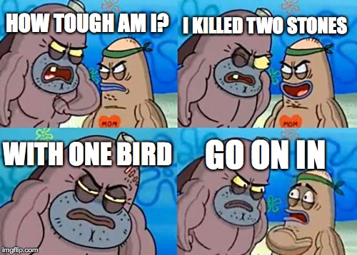 How Tough Are You | HOW TOUGH AM I? I KILLED TWO STONES WITH ONE BIRD GO ON IN | image tagged in memes,how tough are you | made w/ Imgflip meme maker