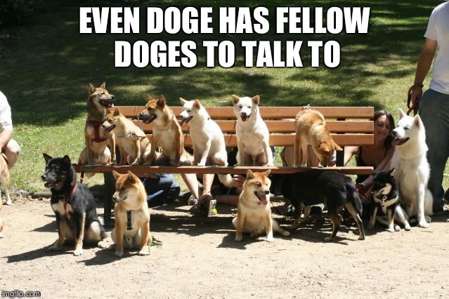 DOGES! | EVEN DOGE HAS FELLOW DOGES TO TALK TO | image tagged in doges | made w/ Imgflip meme maker