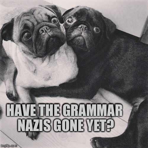 Scared pugs | HAVE THE GRAMMAR NAZIS GONE YET? | image tagged in scared pugs | made w/ Imgflip meme maker