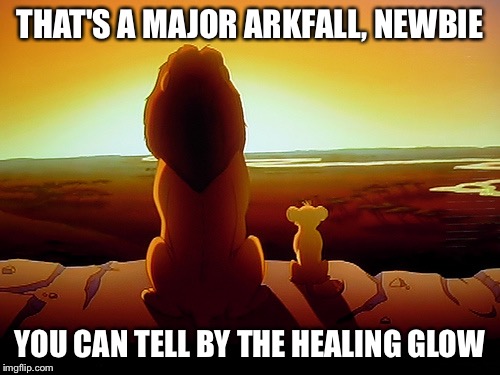 Lion King Meme | THAT'S A MAJOR ARKFALL, NEWBIE YOU CAN TELL BY THE HEALING GLOW | image tagged in memes,lion king | made w/ Imgflip meme maker