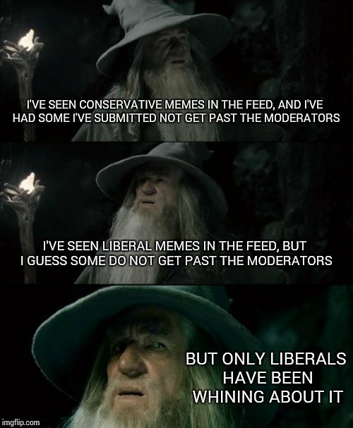 Confused Gandalf Meme | I'VE SEEN CONSERVATIVE MEMES IN THE FEED, AND I'VE HAD SOME I'VE SUBMITTED NOT GET PAST THE MODERATORS I'VE SEEN LIBERAL MEMES IN THE FEED,  | image tagged in memes,confused gandalf | made w/ Imgflip meme maker