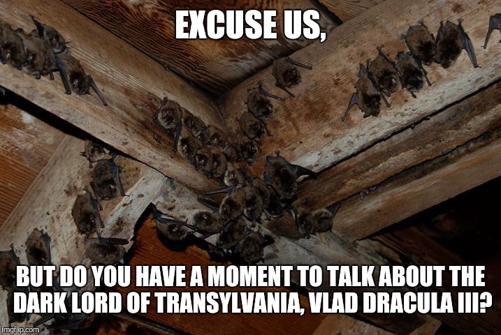 EXCUSE US, BUT DO YOU HAVE A MOMENT TO TALK ABOUT THE DARK LORD OF TRANSYLVANIA, VLAD DRACULA III? | made w/ Imgflip meme maker
