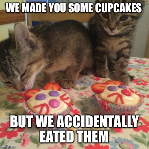 WE MADE YOU SOME CUPCAKES BUT WE ACCIDENTALLY EATED THEM | made w/ Imgflip meme maker