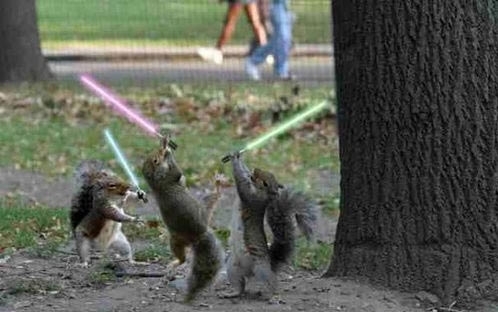 Squirrels With Light Sabers Blank Meme Template